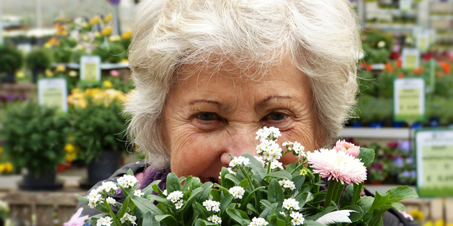 Pour une bonne mutuelle senior, quelles sont les garanties indispensables ?